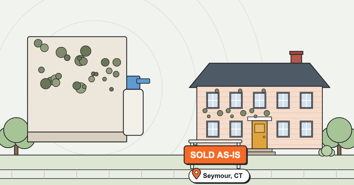 Selling A House That Needs Repairs In Seymour CT